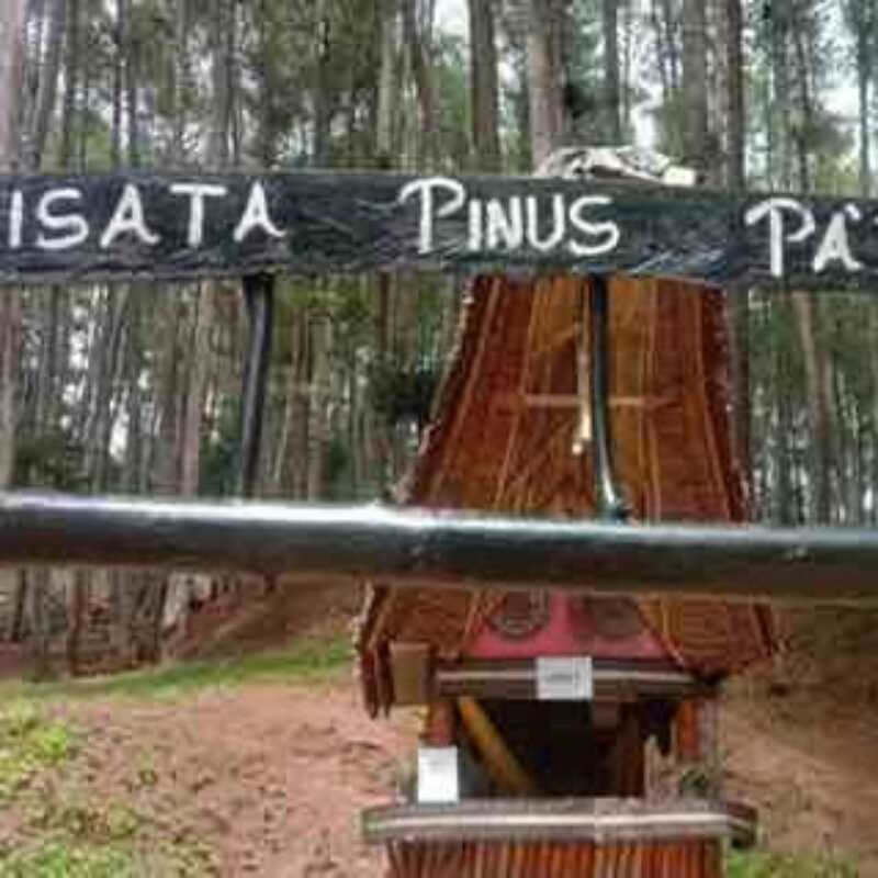 Kawasan Obwis Pinus Pa’tengko Berbenah Sambut Liburan Nataru 2024