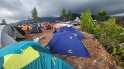 IMG-20241115-WA0007