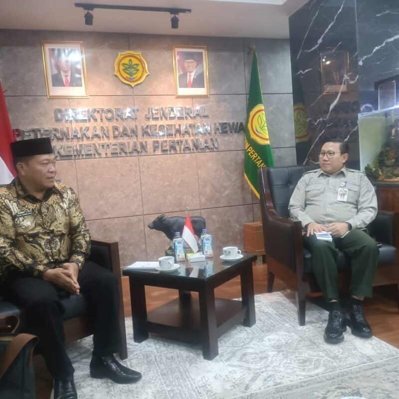 Krisis Babi  Welem Berburuh Bibit ke Kementan dan Ini Hasilnya