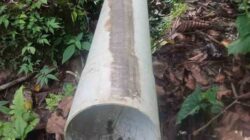 IMG-20250801-WA0003