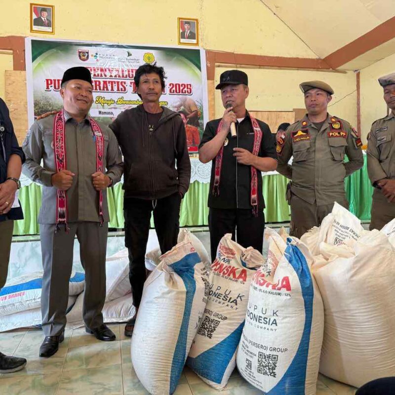 Salurkan Pupuk Gratis, Bupati Mamasa Minta Petani Lakukan Pola Tanam Serentak