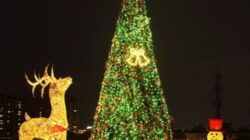 IMG-20251118-WA0007