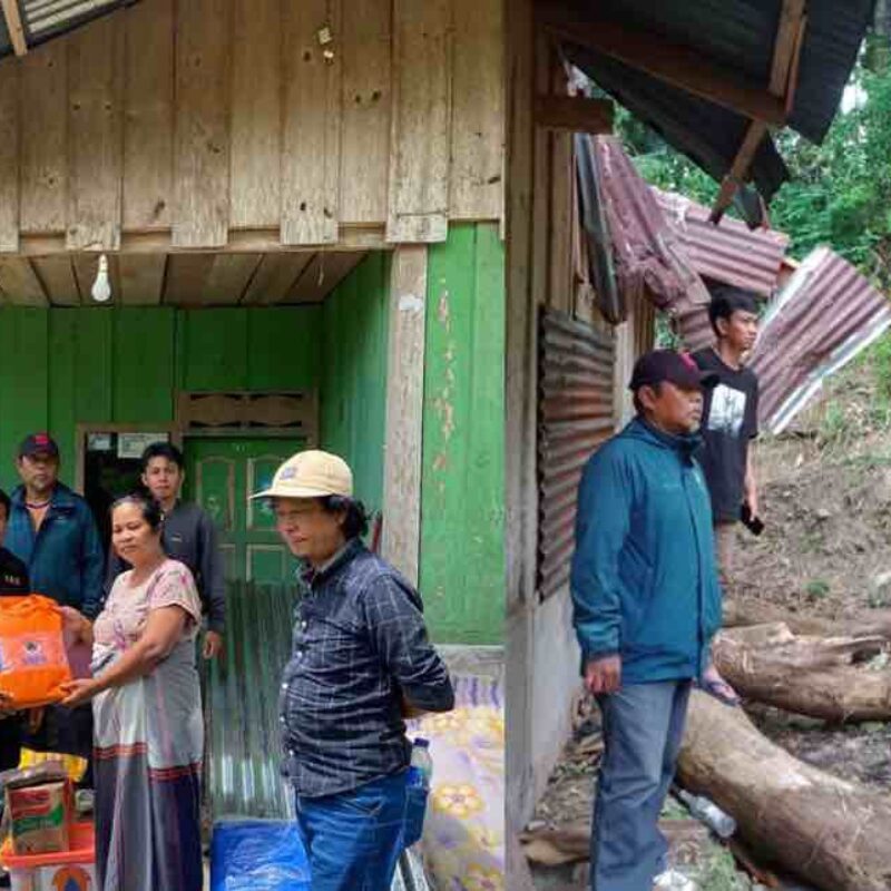 BPBD Tana Toraja Tangani Rumah Korban Akibat  Pohon Tumbang
