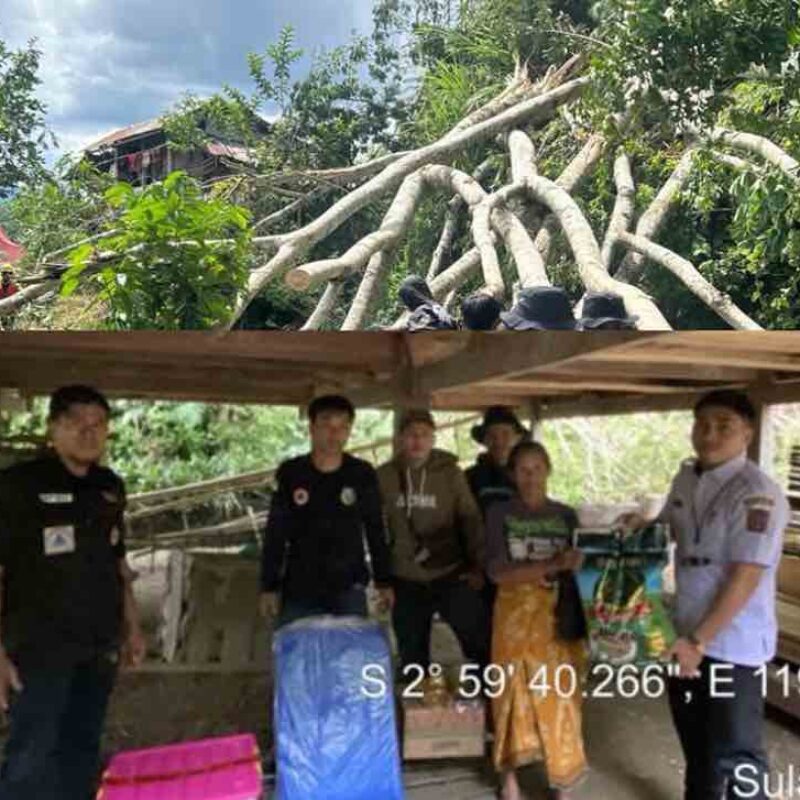 BPBD  Salurkan Bantuan  dan Evakuasi Rumah Warga Tertimpa Pohon Tumbang
